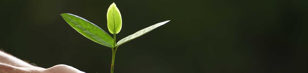 Insights into OXID eShop development 2016