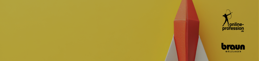 Braun Wälzlager – erfolgreicher Webseiten Relaunch mit Online Profession auf Basis von OXID eShop